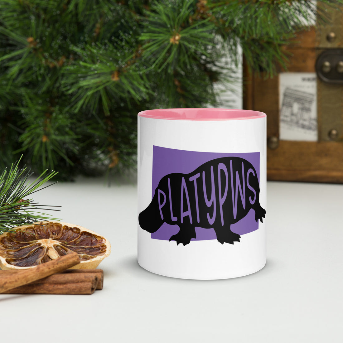 Platypus Platypws Mug with Colour Inside Welsh